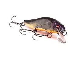 Megabass Vision 110