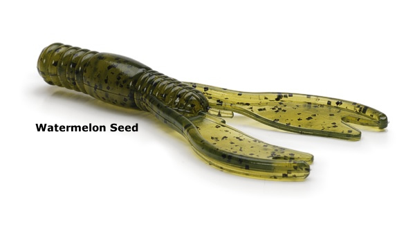 Watermelon Seed